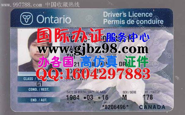 加拿大驾驶证样本