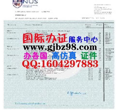 　新加坡国立大学MBA成绩单