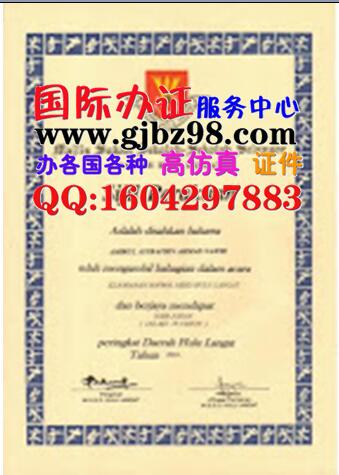 马来西亚足球比赛的证书样本