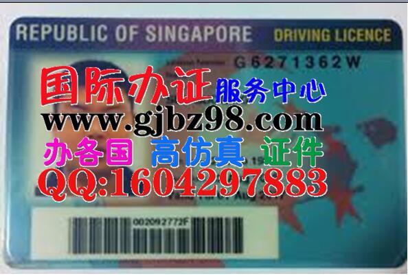 新加坡驾驶证样本