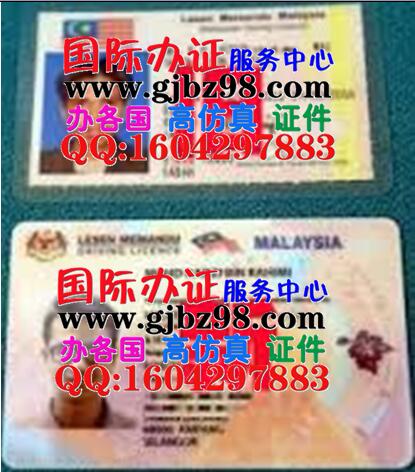 马来西亚驾驶证样本