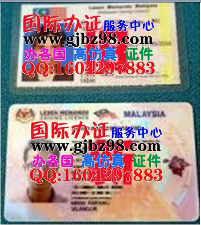 马来西亚驾照样本