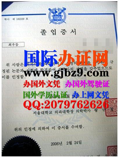 韩国首尔国立大学文凭样本