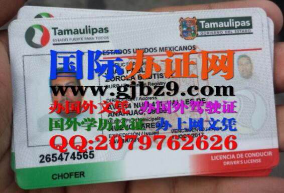 墨西哥塔毛利帕斯州驾驶证样本Licencia de conducir de Tamaulipas