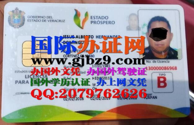 墨西哥韦拉克鲁斯州驾驶证样本Licencia de conducir del estado de Veracruz