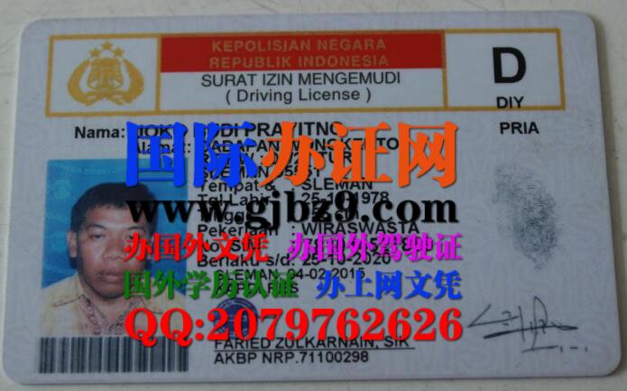 印度尼西亚驾驶证D证样本SIM Indonesia