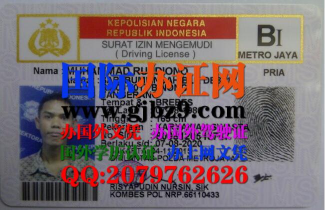 印度尼西亚驾驶证B1证样本SIM Indonesia