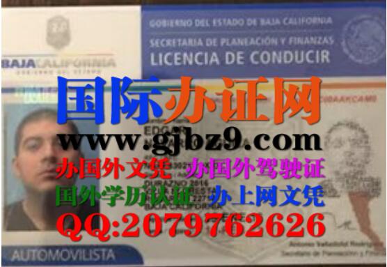 墨西哥北下加利福尼亚州驾驶证样本Baja California drivers license